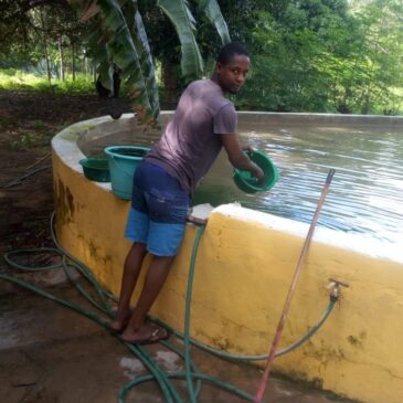 Relancer la culture dans les bassins perdus à cause des pluies